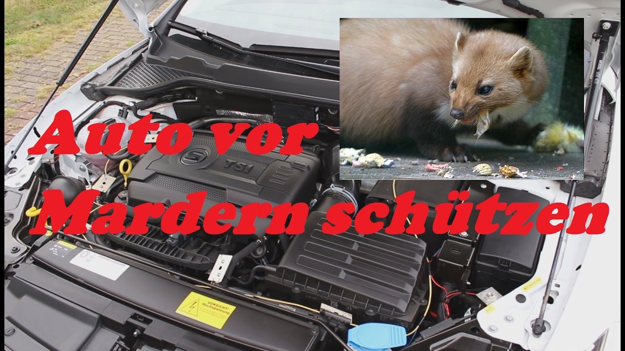 Mardersicher Auto vor Mardern schützen - Mardersicher Mobil MS12V Ultraschall und Strom