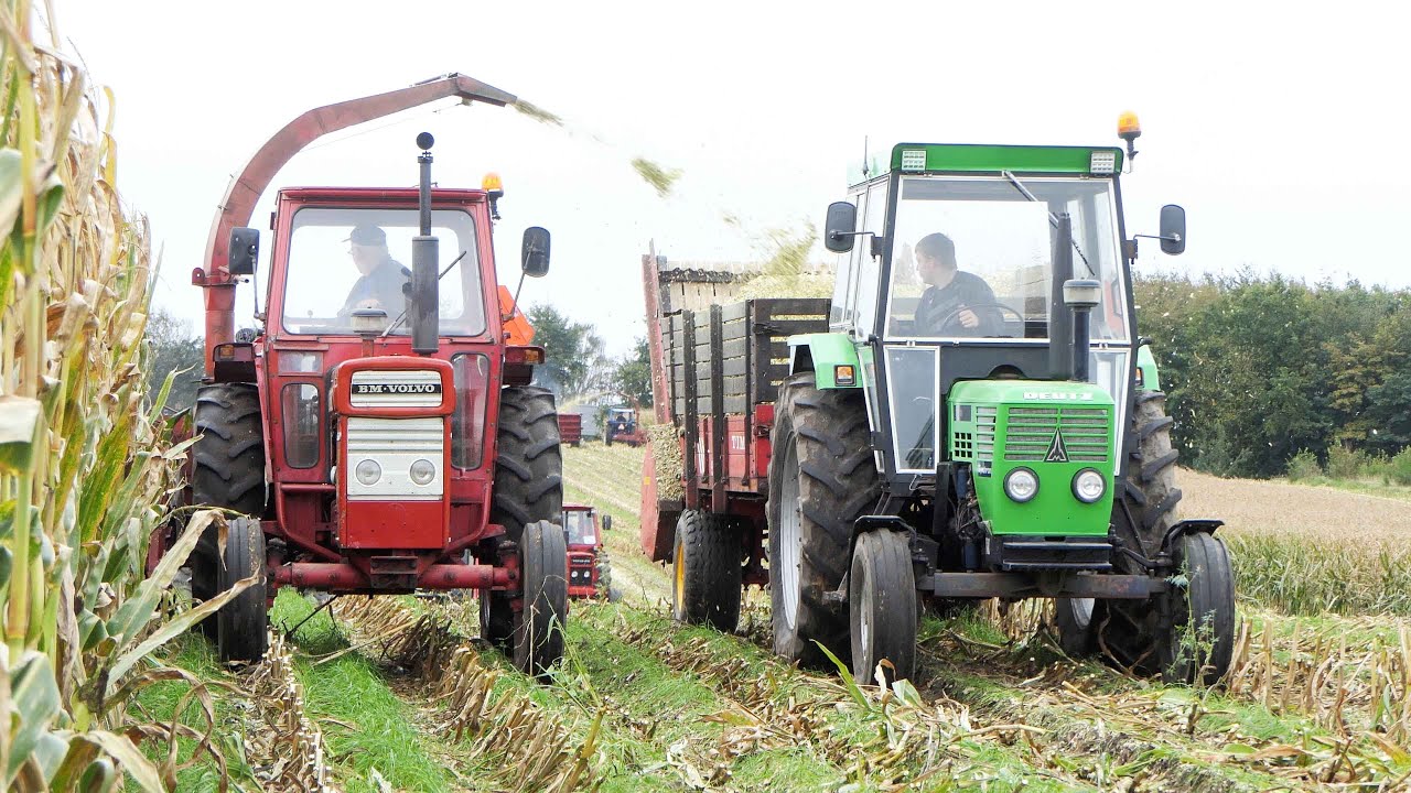 Mais Silage 2023 | Volvo BM 650 in the field Chopping corn with 1-row chopper