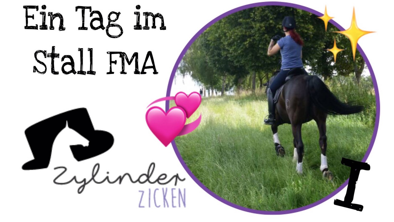 FMA / Ein Tag im Stall Teil I