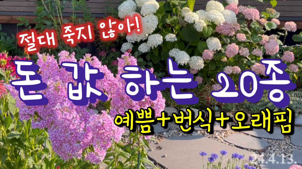 25.4.18.죽어도 안 죽는 20종! 누가 심어도 안죽고,죽여야 죽는다.