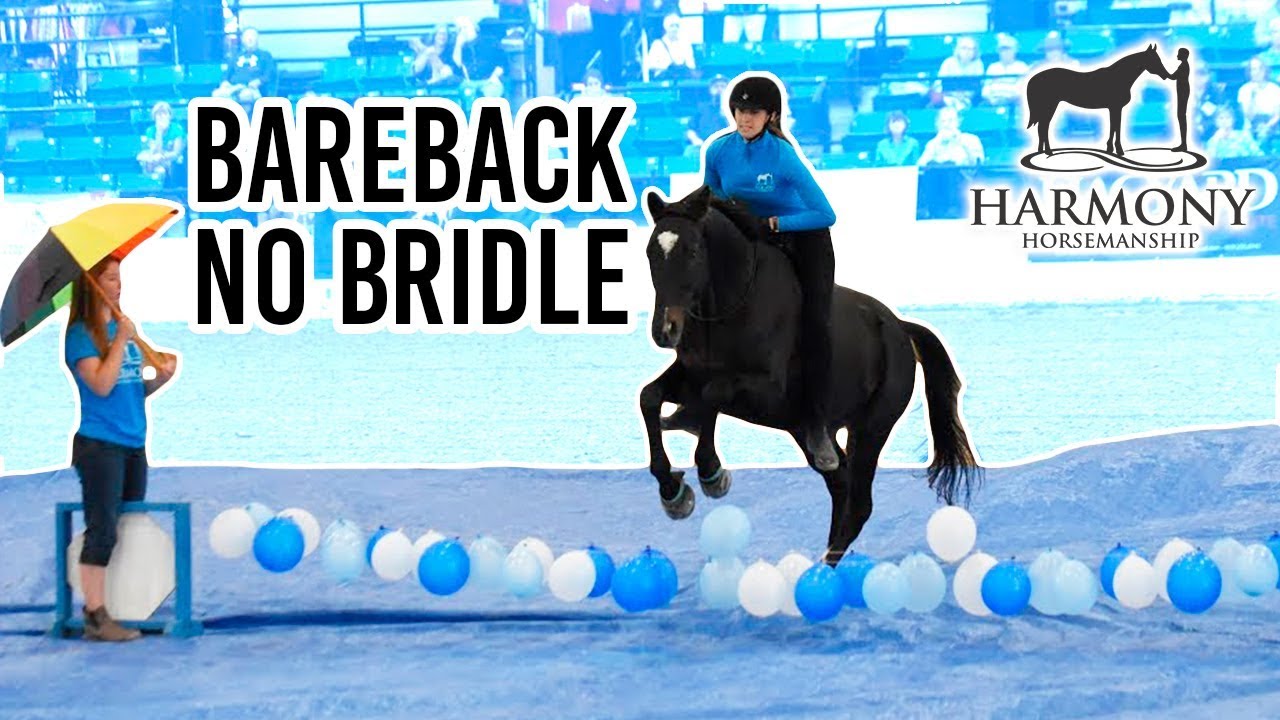 Bareback, No Bridle, Liberty, Freestyle Performance