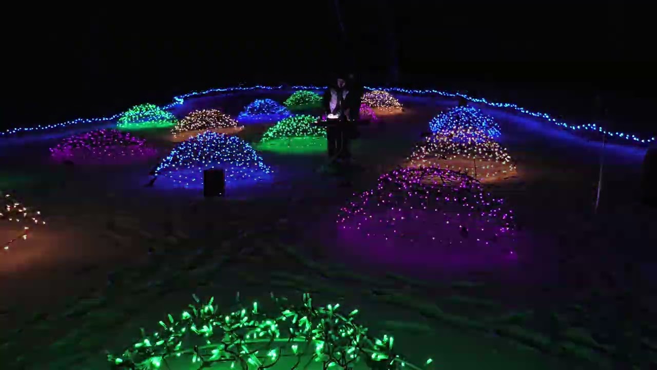 Where sound becomes light, and light begins to breathe.