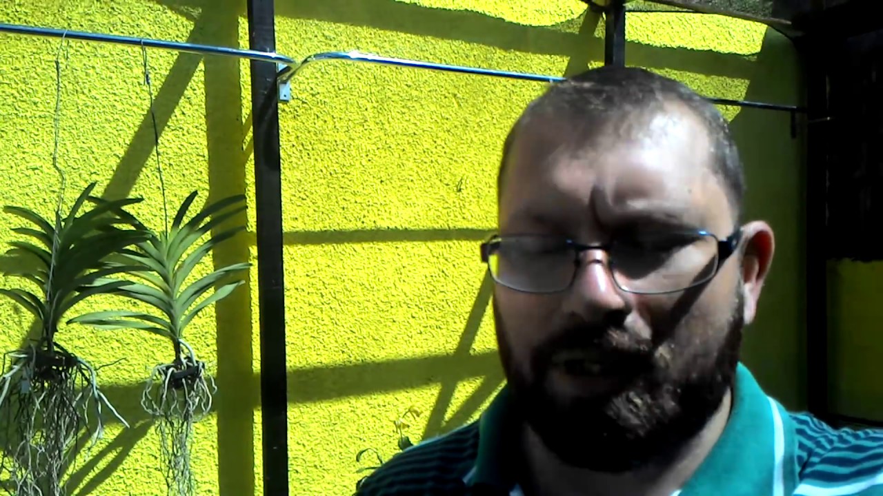 Construindo um orquidário em casa parte 4