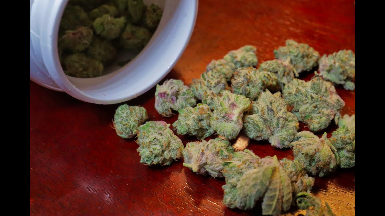 GOOD GREEN ~ ANIMAL MINTS #10   7GRAMS FLOWER