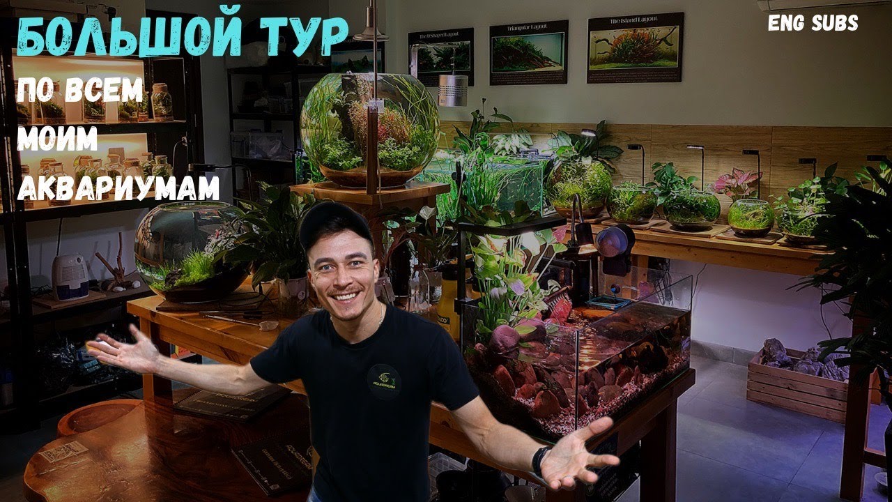 БОЛЬШОЙ ТУР ПО ВСЕМ МОИМ АКВАРИУМАМ! | BIG TOUR OF ALL MY AQUARIUMS!