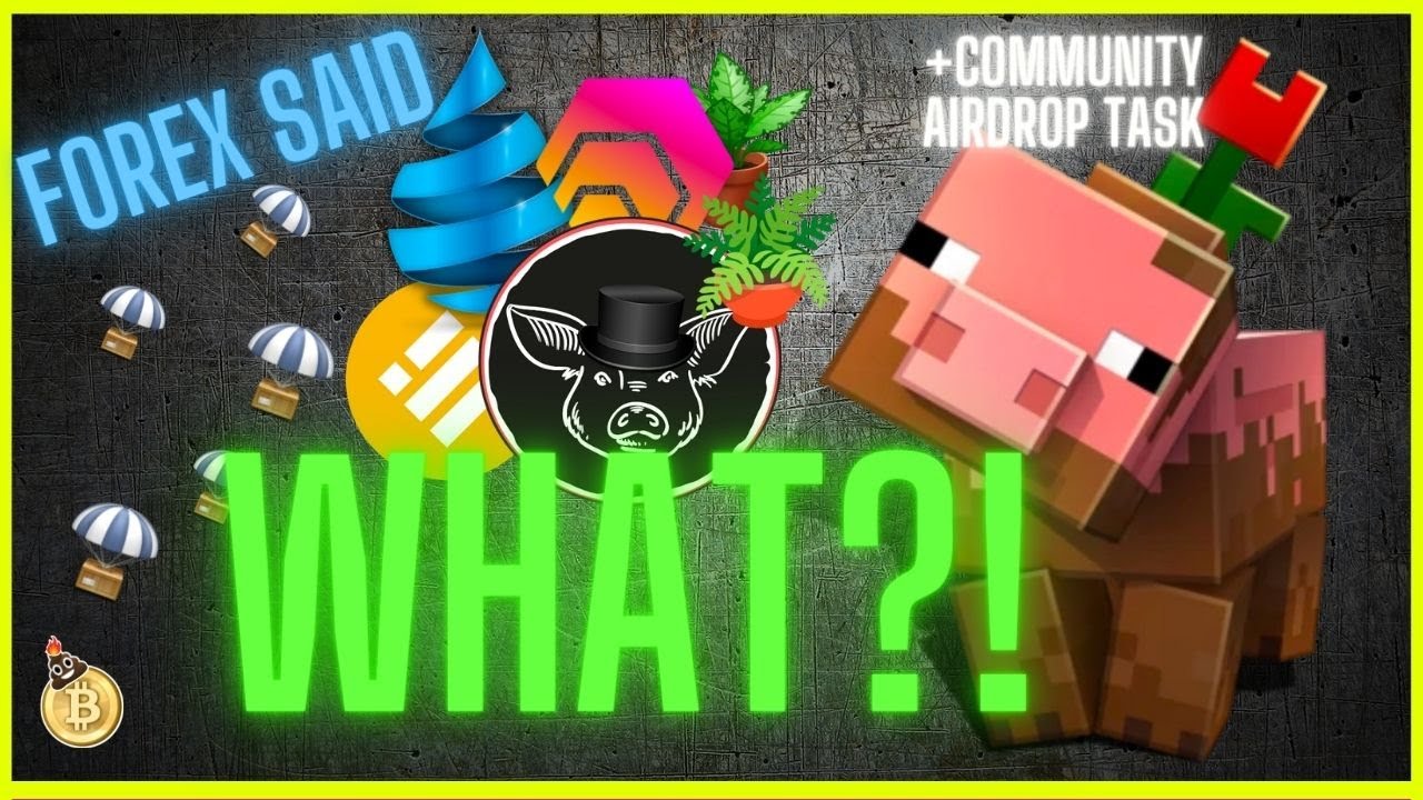 DRIP ANIMAL FARM : PIGS is like HEX?! and Community Airdrop Details