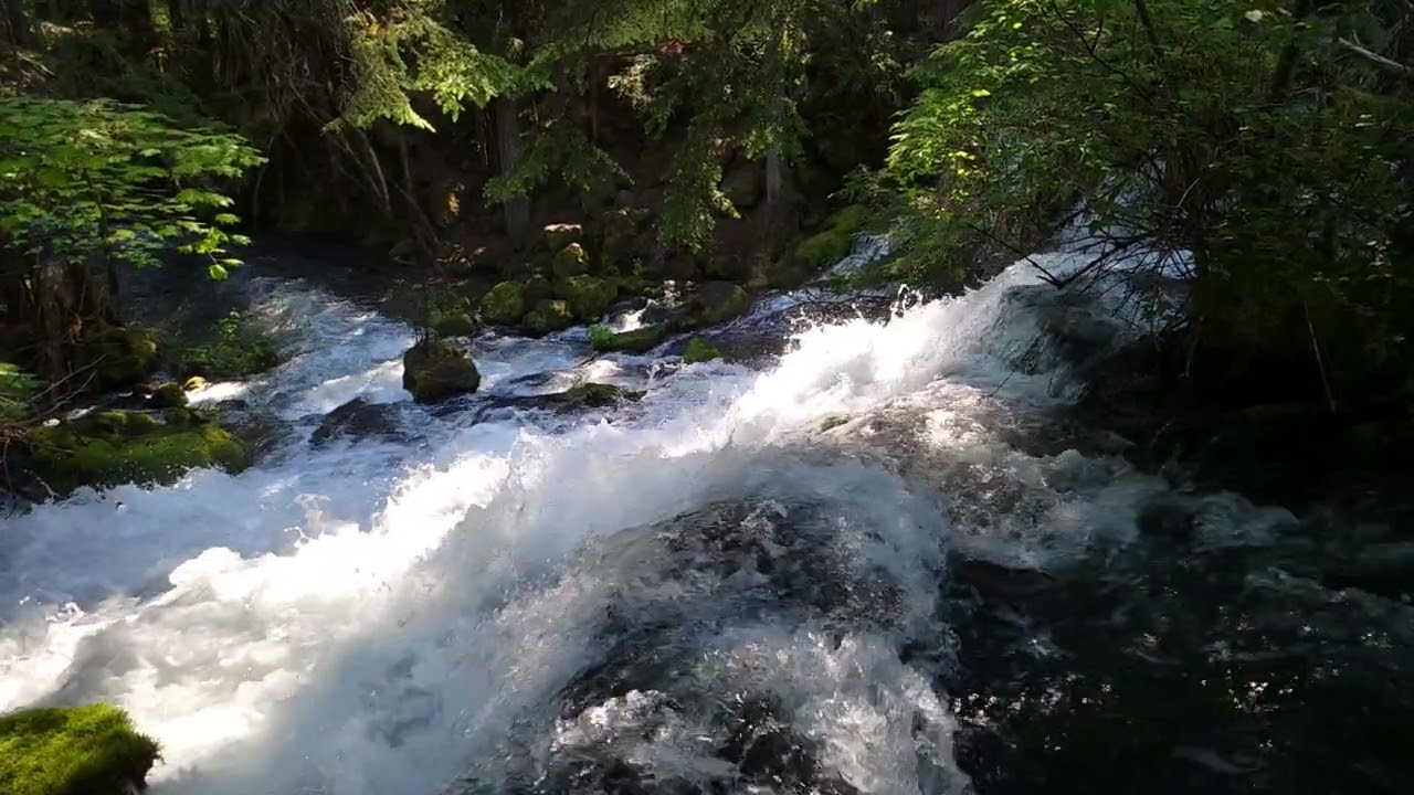 Pearsony Falls, Prospect OR