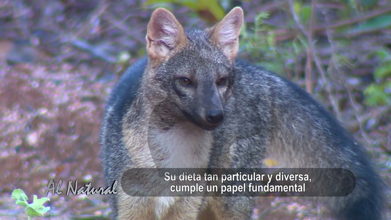 SNT Al Natural: Parque Nacional Teniente Agripino Enciso