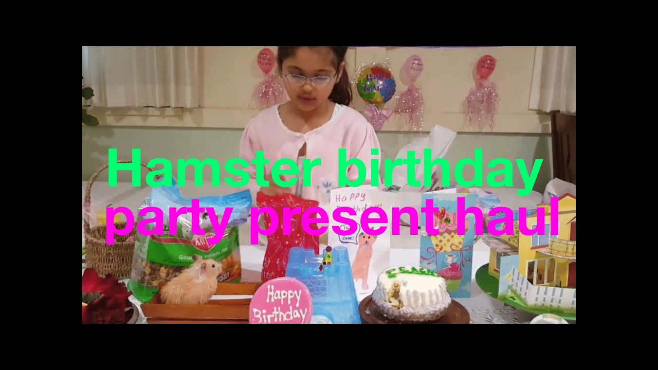 Hamster Birthday Party Present HAUL for my HAMSTER Peachy with Jellybean Joy!