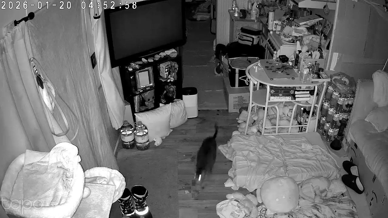 Things that go bump in the night part 6