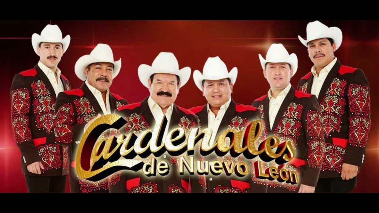cardenales mix sonido proyeccion 24( sin derechos de autor)