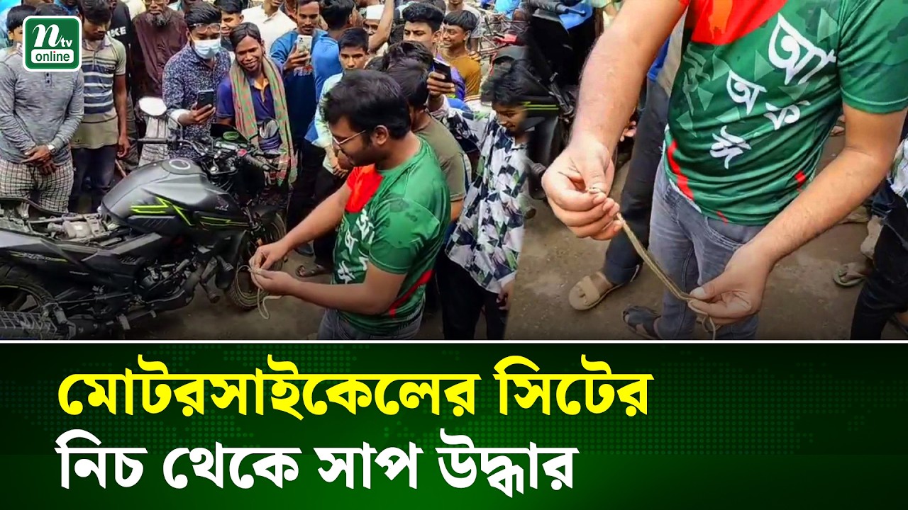 ঝিনাইদহে মোটরসাইকেলের সিটের নিচ থেকে সাপ উদ্ধার | Jhenaidah Snake | NTV NEWS