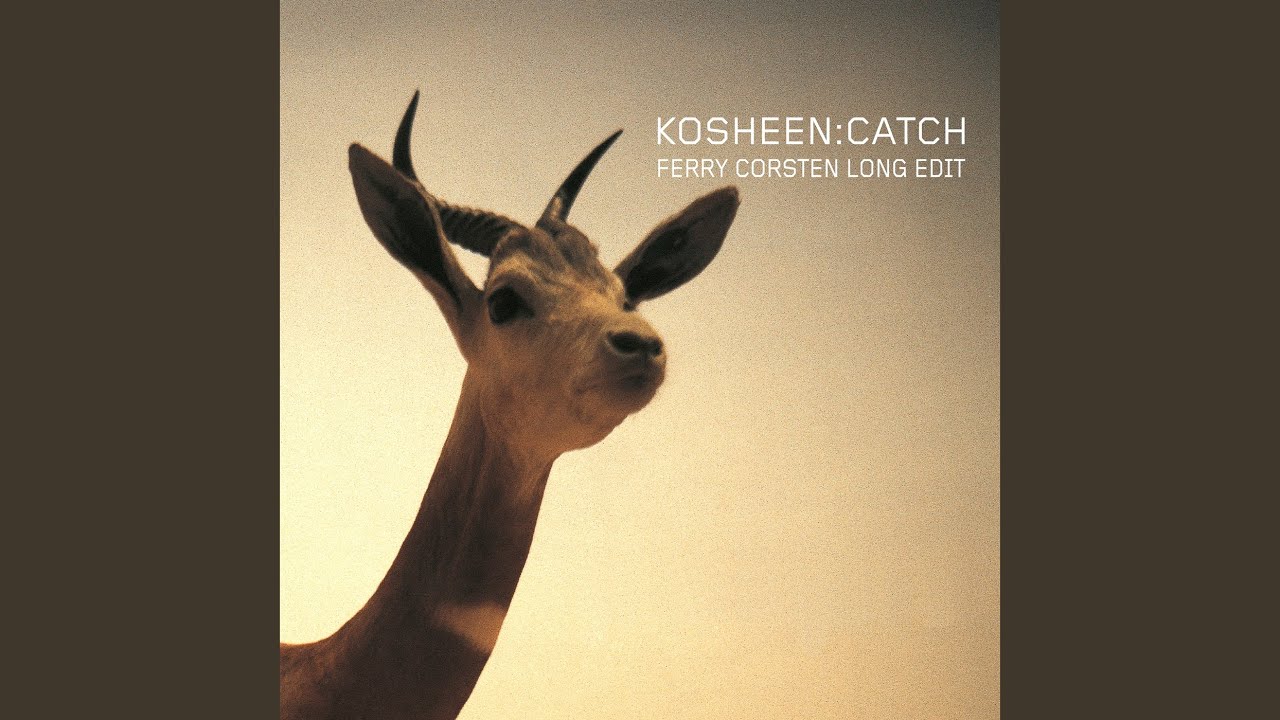 Catch (Ferry Corsten Long Edit)