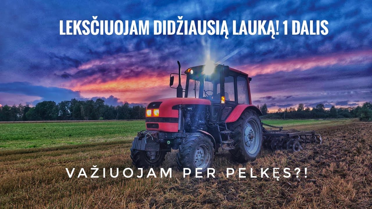 Leksčiuojam priešpaskutinį lauką 1 dalis