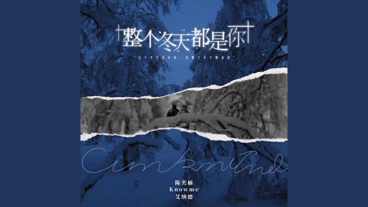整个冬天都是你