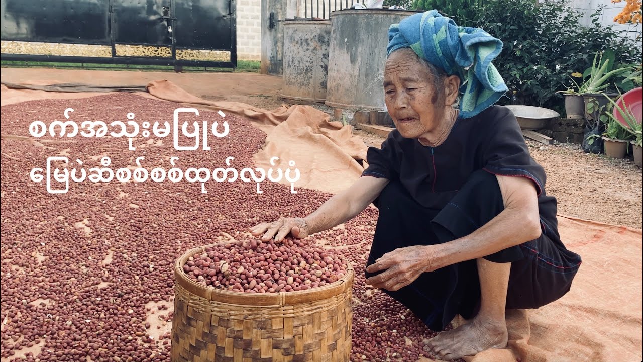 How to do peanut Oil without machine ပအိုဝ်းမြေပဲဆီထုတ်လုပ်ပုံ