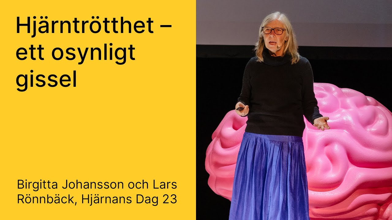 'Hjärntrötthet – ett osynligt gissel' med Lars Rönnbäck & Birgitta Johansson (Hjärnans Dag 2023)
