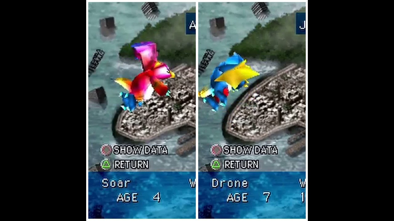 DRAGON SEEDS: Winged Evolution and Comparison🦉🦃🧚&zwj;♀️✈️
