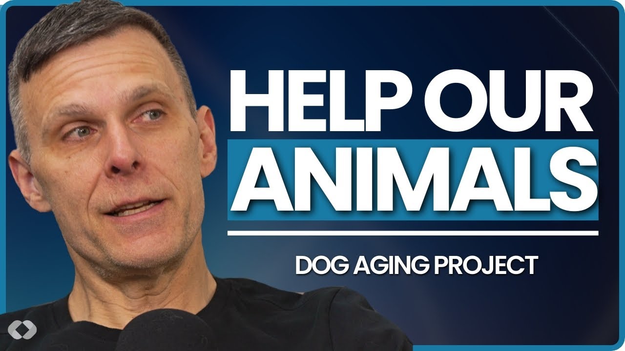 The Dog Aging Project that aims at Helping Dogs Live Longer