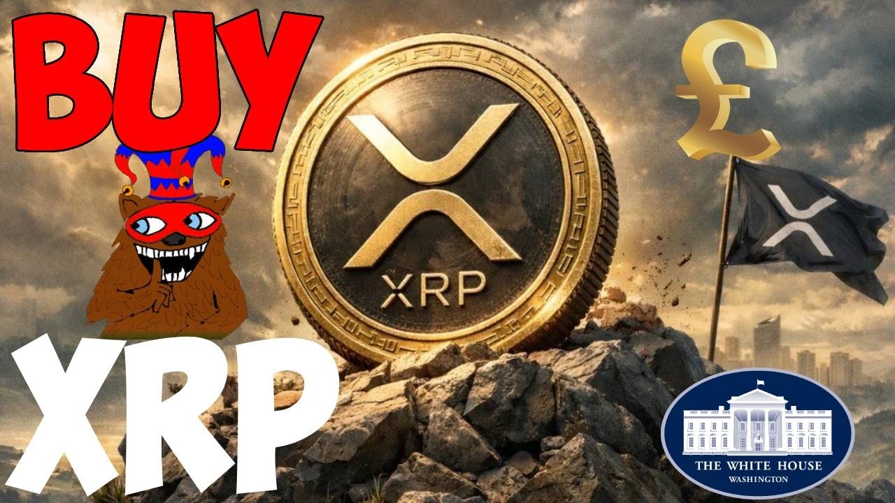 Ripple XRP Великобритания ПОДТВЕРЖДЕНО BABAACUGS BG123 ГОВОРИЛ ВАМ КУПИТЬ WHITEHOUSE MR POOL CONN...