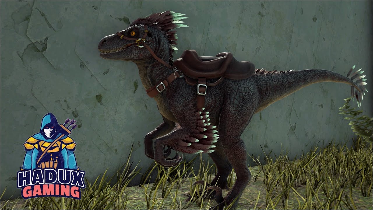 Ark t&uuml;rk&ccedil;e Raptor Evcilleştirme | ARK Survival Evolved Extinction MODSUZ | B&ouml;l&uuml;m 11