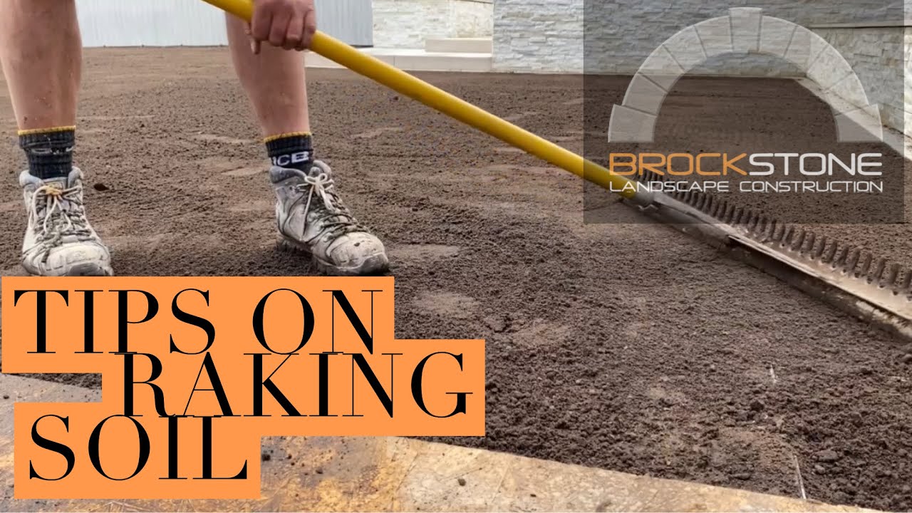 Raking Soil Prior to Turf #turfing  #soil #landscaping
