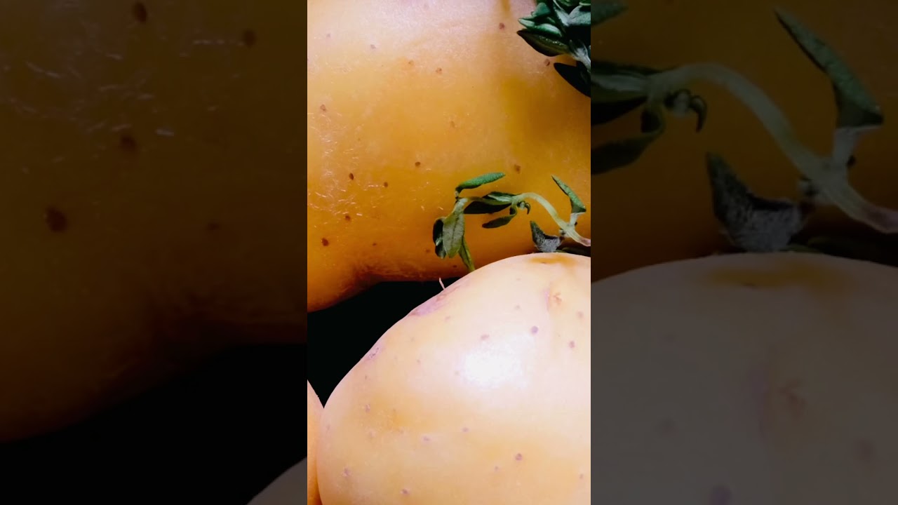 Sexy Potato Leek Soup by Eurila Cave