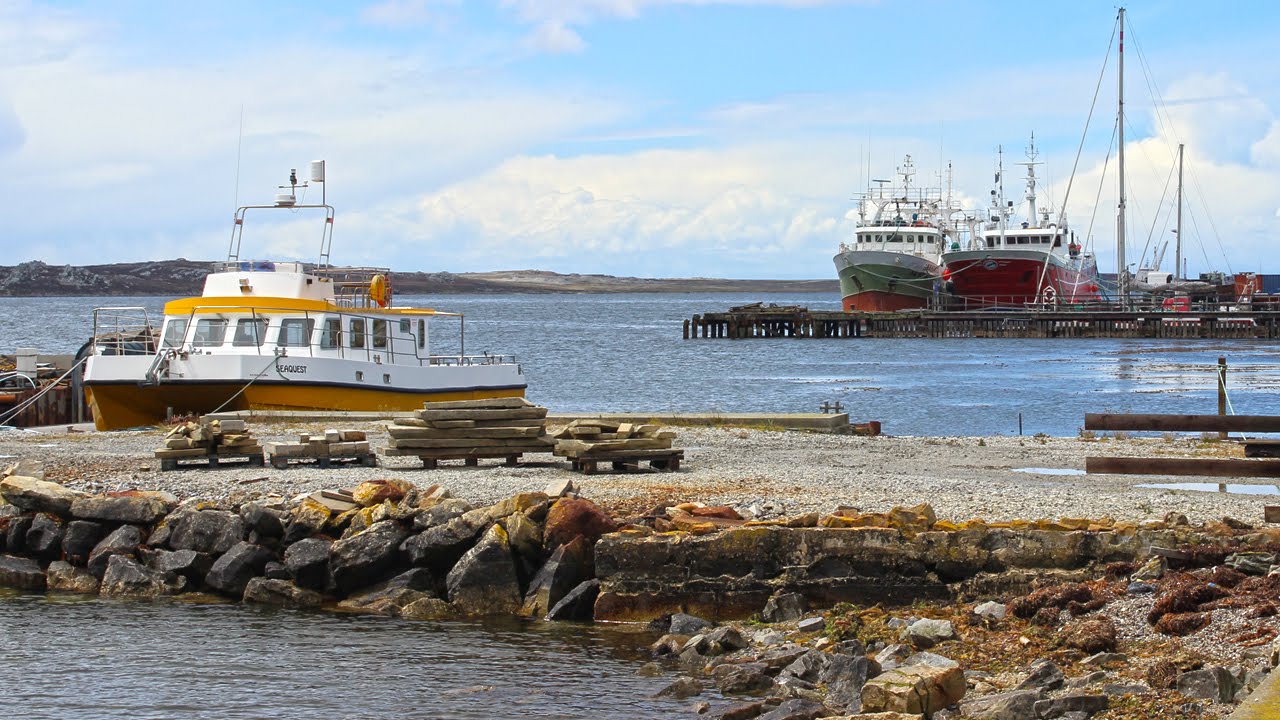 Viaje a Malvinas: La costa de Puerto Argentino (1° parte)