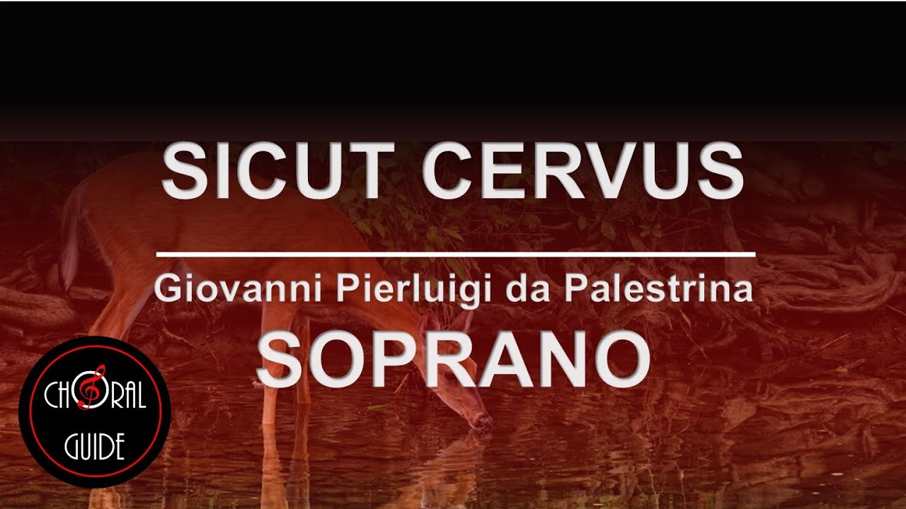 Sicut Cervus - SOPRANO | GP Palestrina
