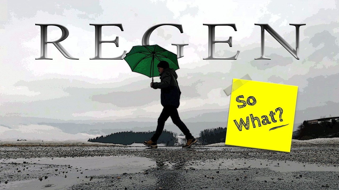 Schnee, Regen & Glatteis ⚠ ich stelle mich der Herausforderung ☂ Tägliche Spaziergänge