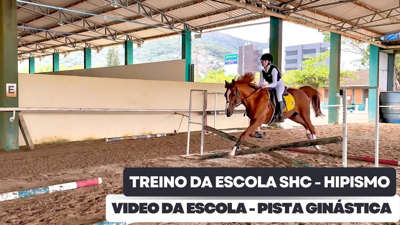 ESCOLA DE HIPISMO - TREINO EM PISTA GINÁSTICA
