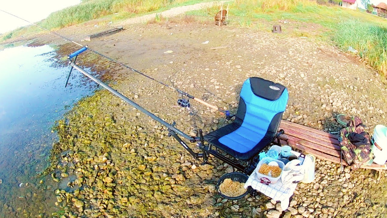 Fider na Psenicu ( 🎣4K VIDEO 🎣)