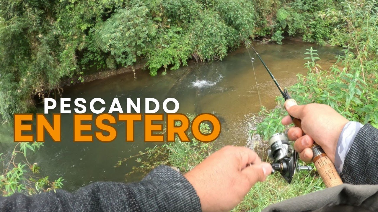 ESTERO MILAGROSO 👀🎣 pesco este estero solo 🎣 