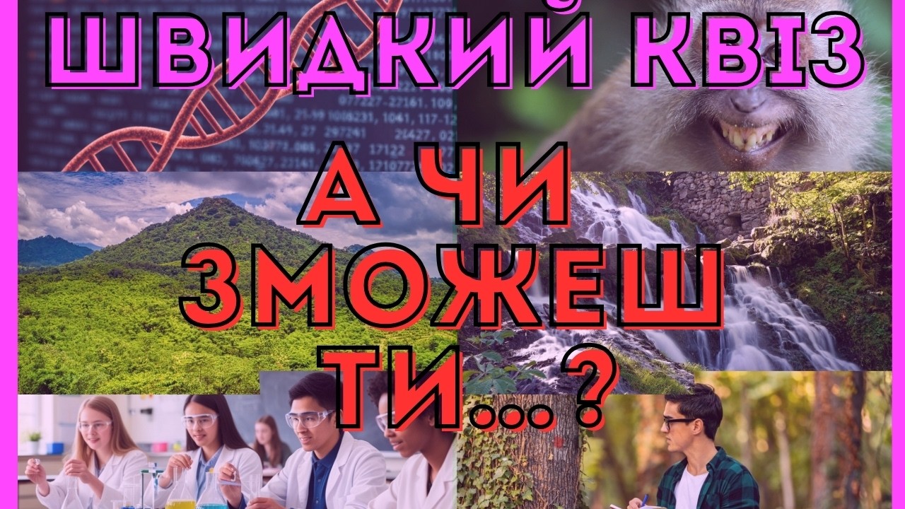 Швидкий квіз на загальну тему 2026 від команди 