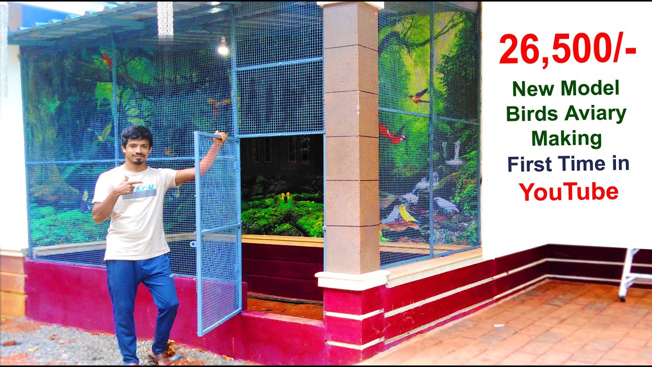 Making Beautiful Aviary For My Birds | How To Make Perfect Birds Aviary