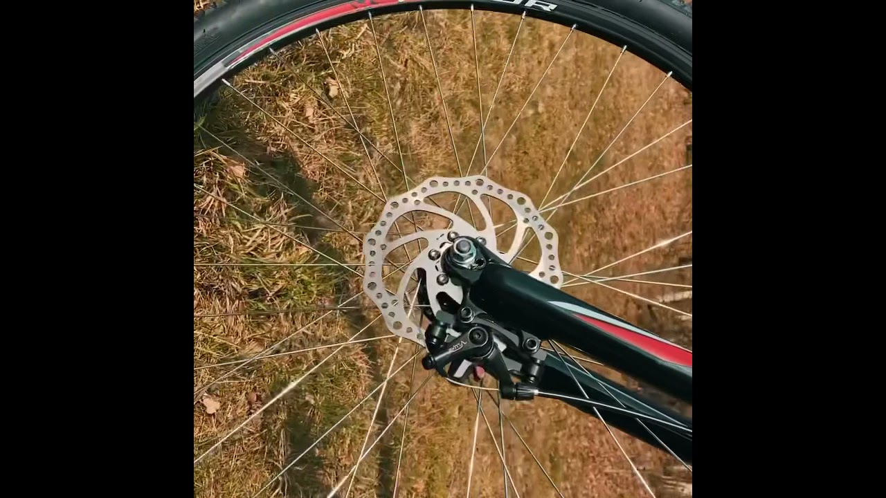 Kleiner Bike Porn