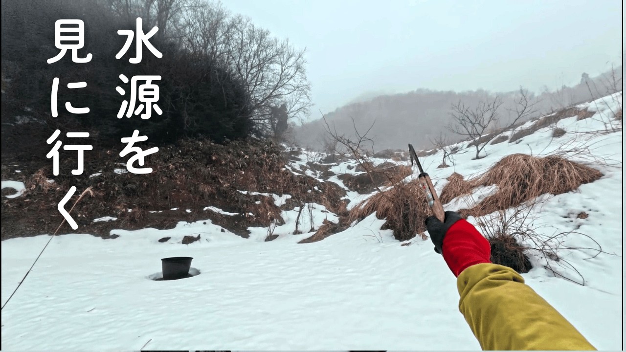水源を見に行く／植林を断った話／たまごの取り合い【つちのうえ日記 ＃4】