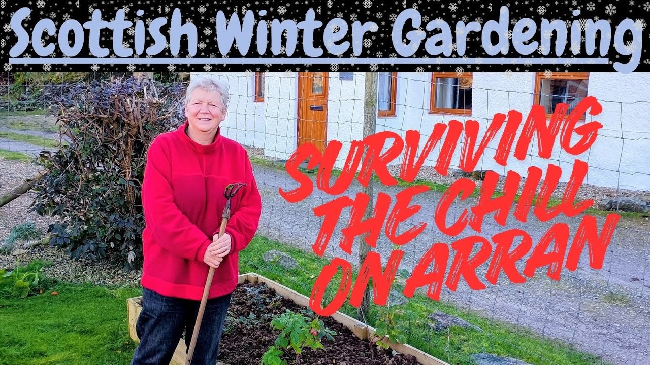 Зимнее садоводство в Шотландии: как пережить холод на ARRAN #Шотландия #садоводство #зима
