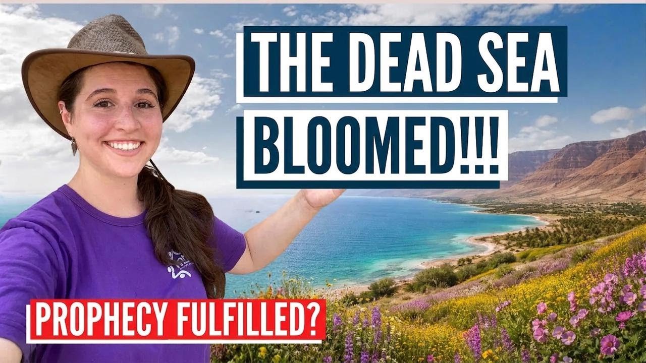 The Desert Is Blooming in Israel! Israel with Aline