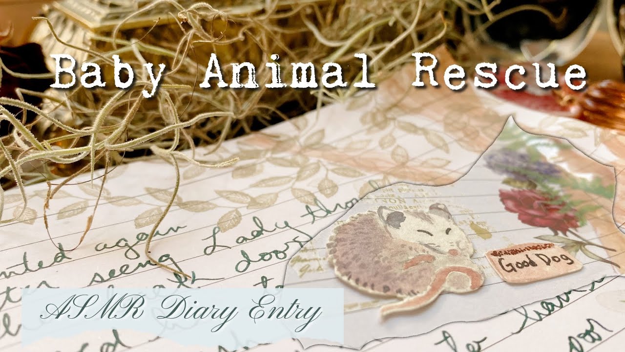 ASMR Diary 🐭 Baby Animal Rescue Story and Scrapbooking | No Talking