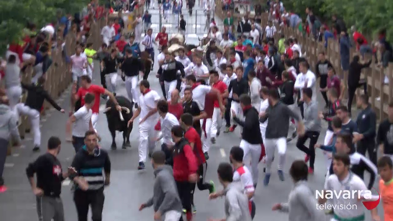 Último encierro de Tafalla: limpio y sin heridos