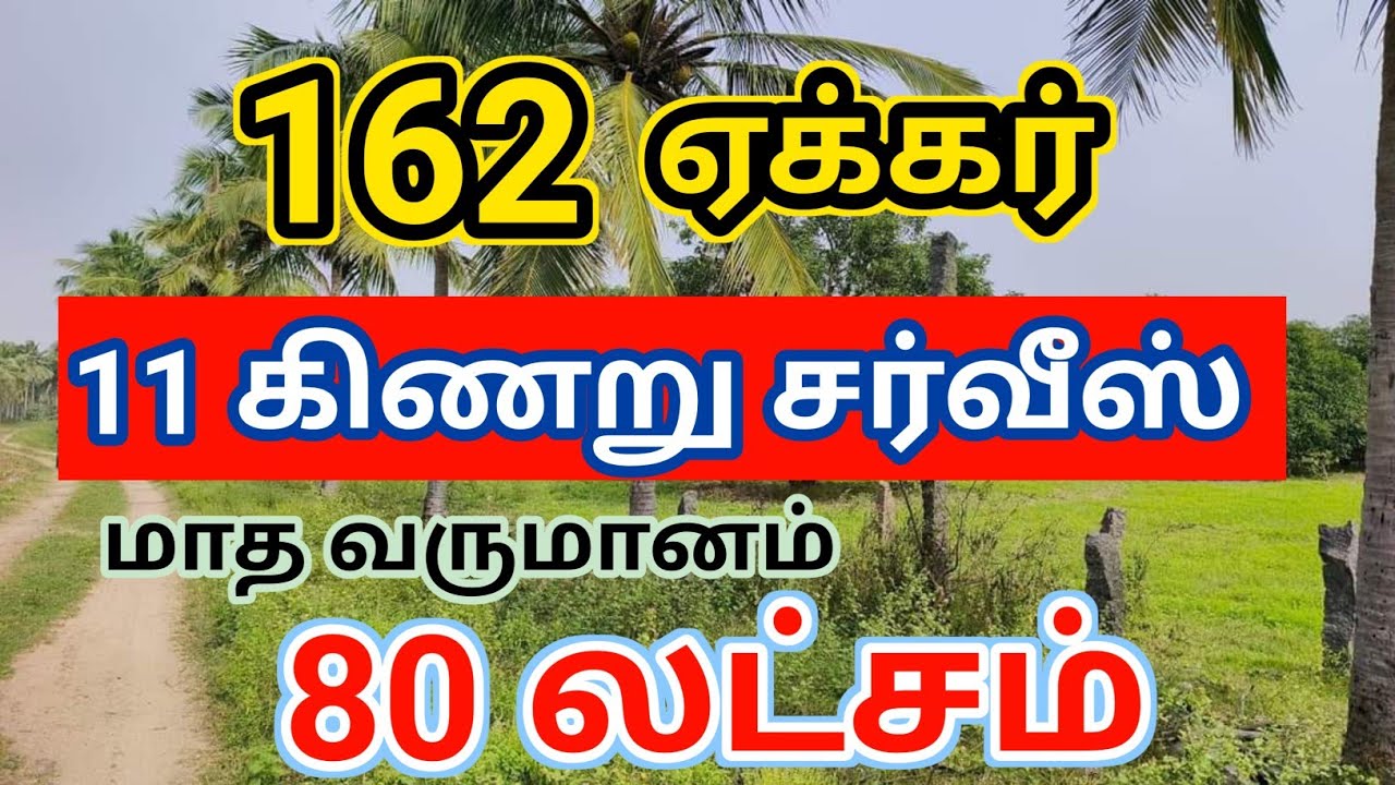 தார்ரோடு முகப்பு 2600 அடி 3 பெரிய வீடு 10 போர் மா தென்னை நெல்லி தேக்கு தோப்பு #farmland #realestate