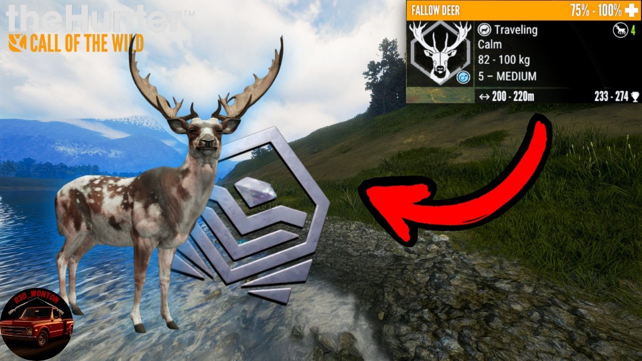 Taking down a Super Rare Fallow! | The Hunter Call of the Wild