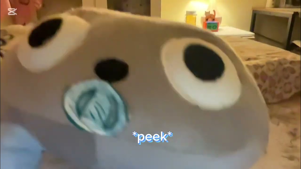How to take care of pebble! Idea from @artisticskye