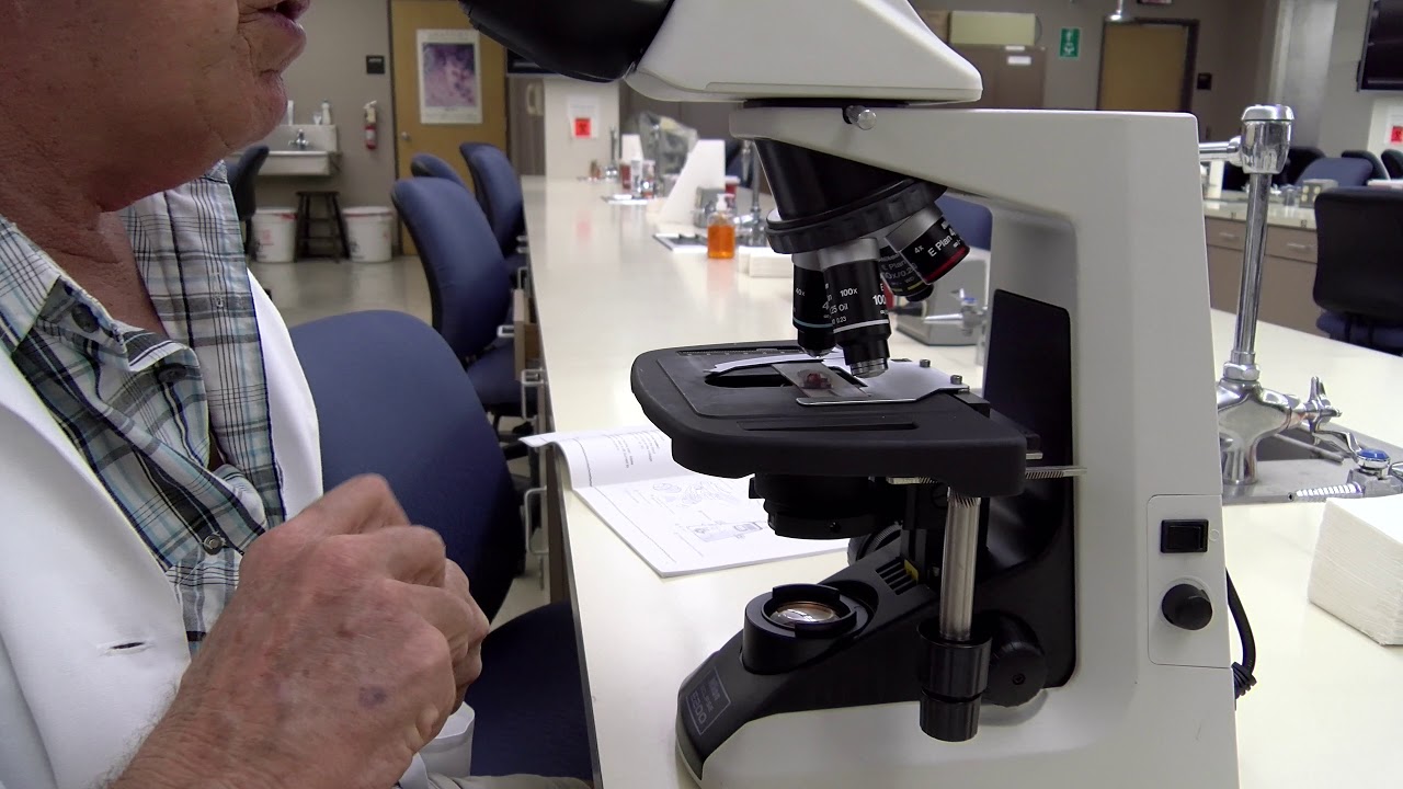 Microscope tutorial