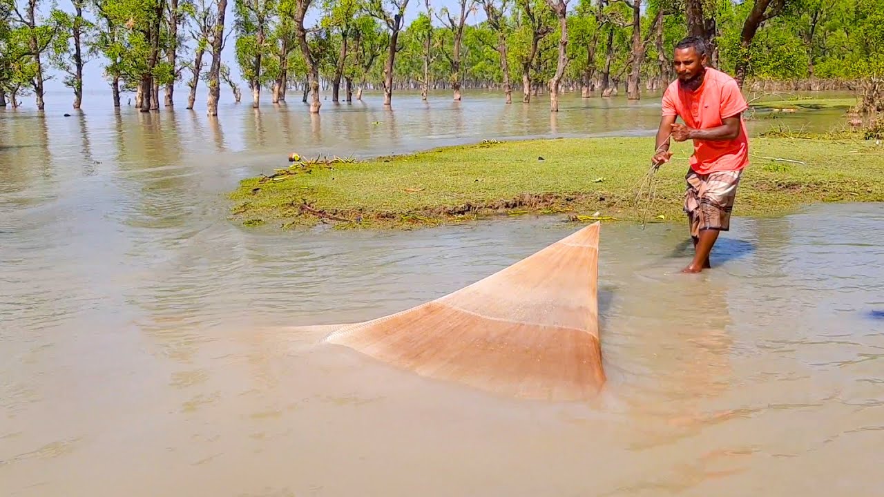 Net Fishing - Best Fishing Video in The Village River Landscape | Net Fishing With Natural Beauty