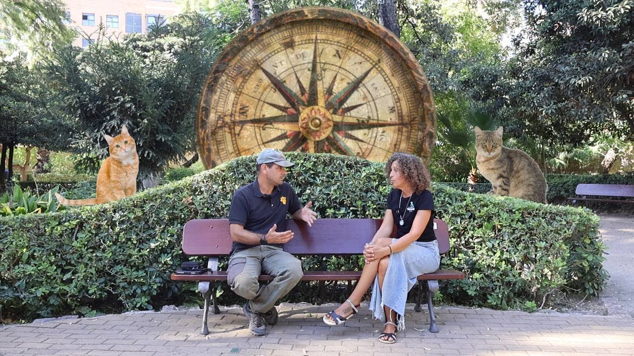 Manual supervivencia para Colonias Felinas - Podcast 33