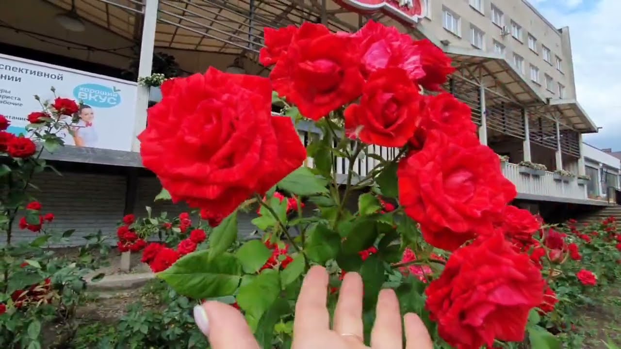 Ейск - Замечательный город! Центральный рынок. Пляж 