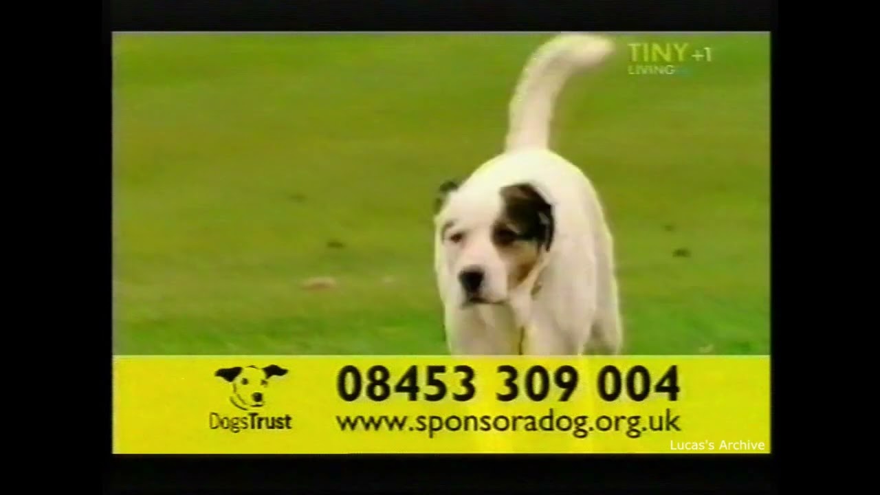Tiny Living TV Continuity (2005)