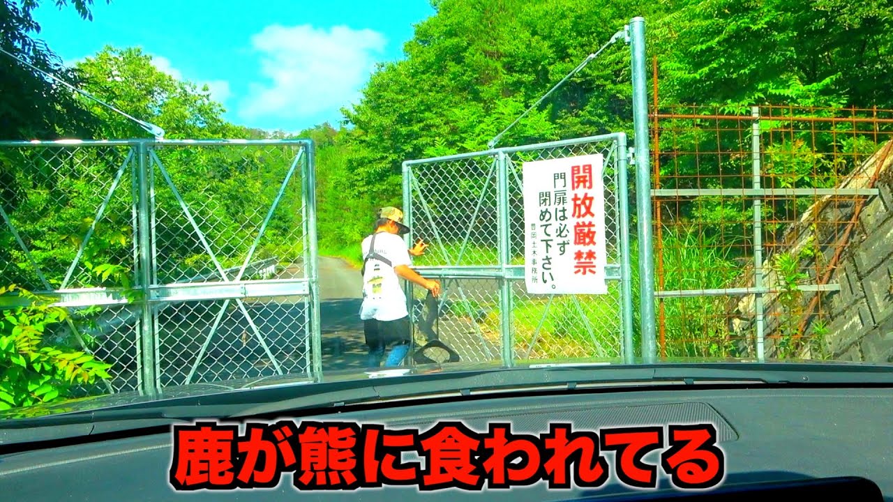 【伝説の秘境ダム】バスは釣れるけど一人で行ったら死にます。